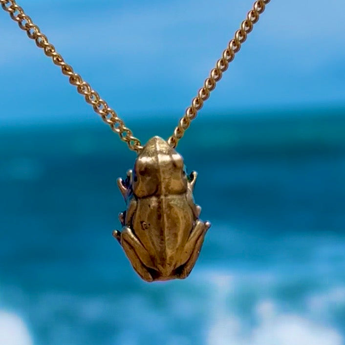 Coqui, Bronze pendant, $30