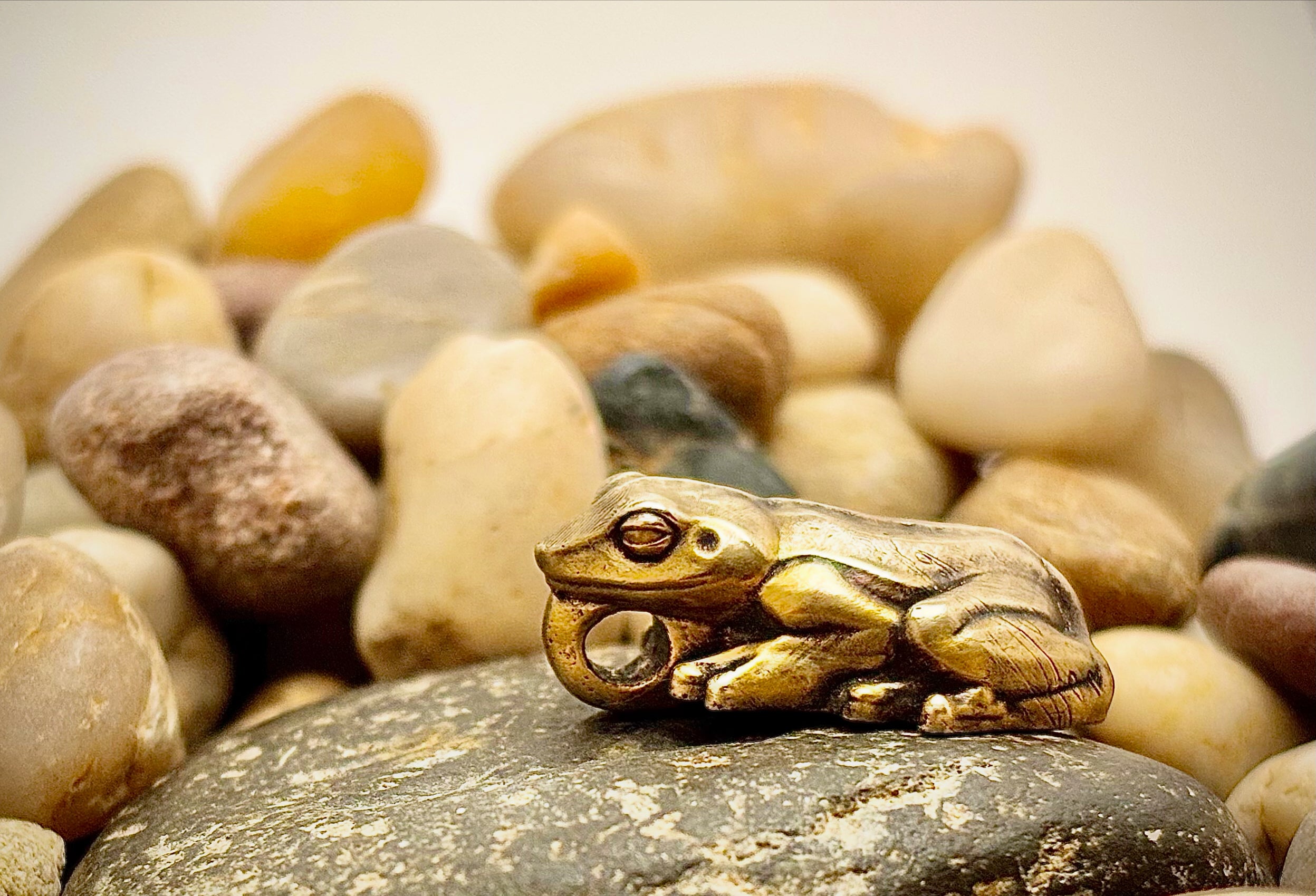 Coqui, Bronze pendant, $30