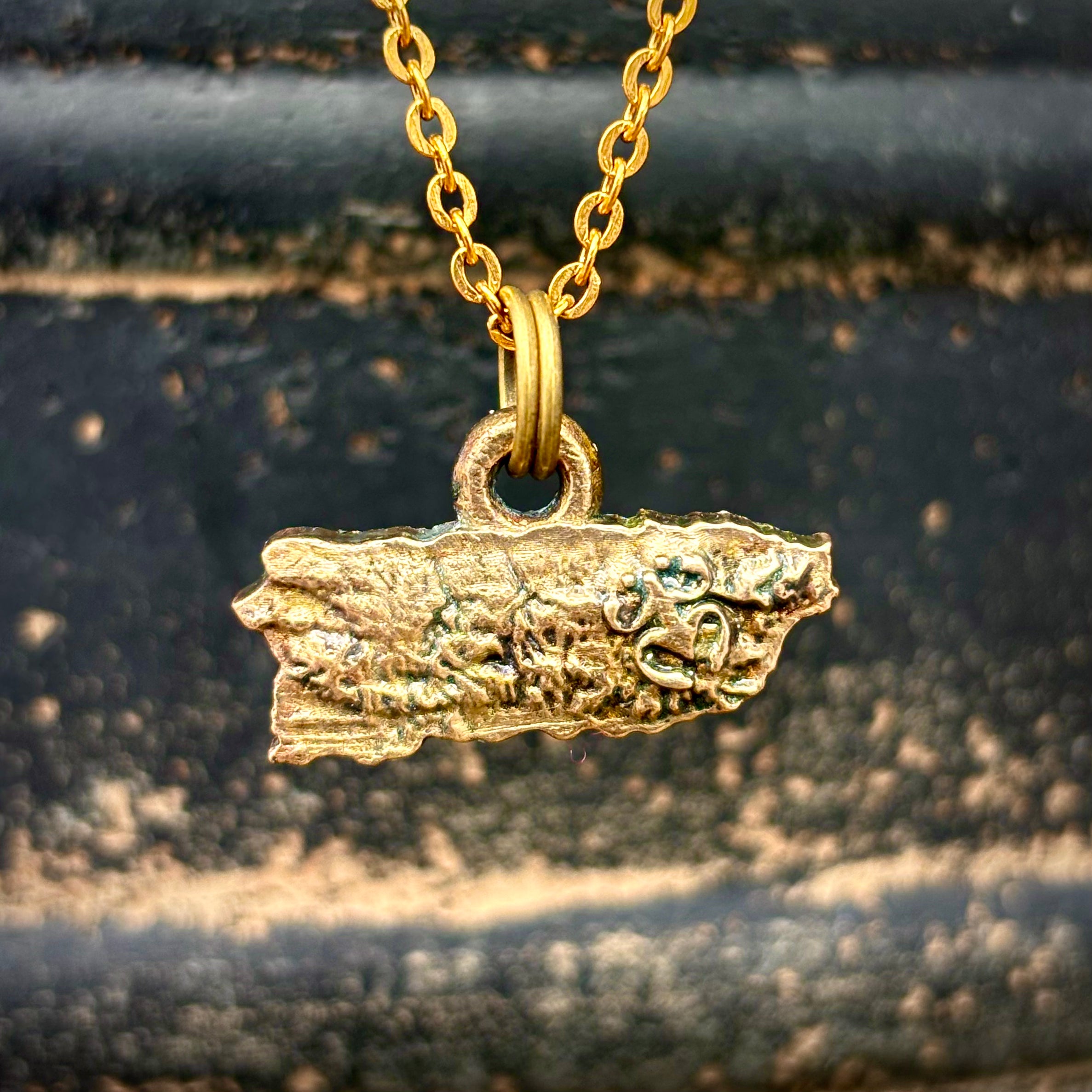 Isla P.R. y Coqui Taino, Bronze Pendant, $30