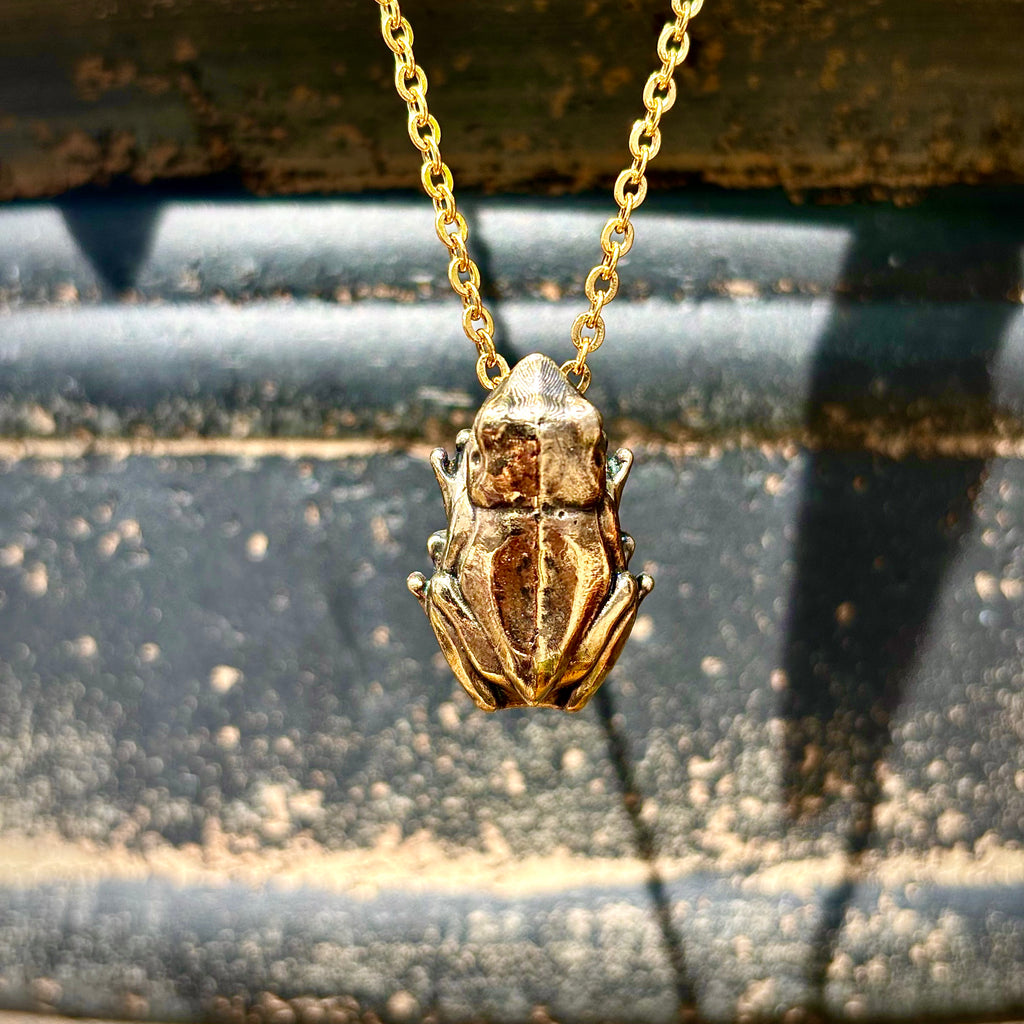 Coqui, Bronze pendant, $30
